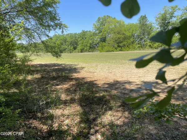 $110,000 | 10 Peanut Road, Graceville, FL 32440