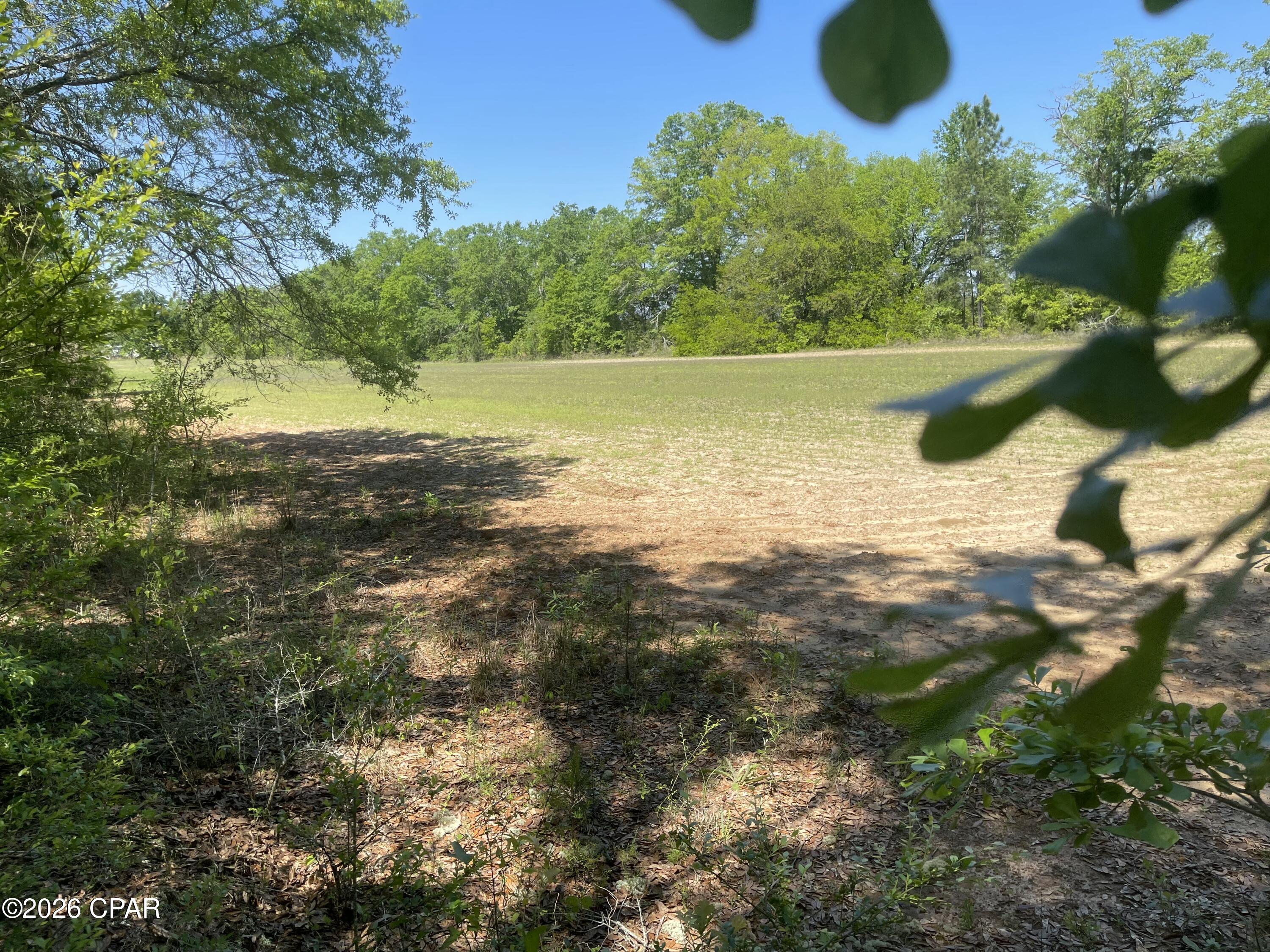 10 Peanut Road Graceville, FL 32440 - Photo 9 of 18