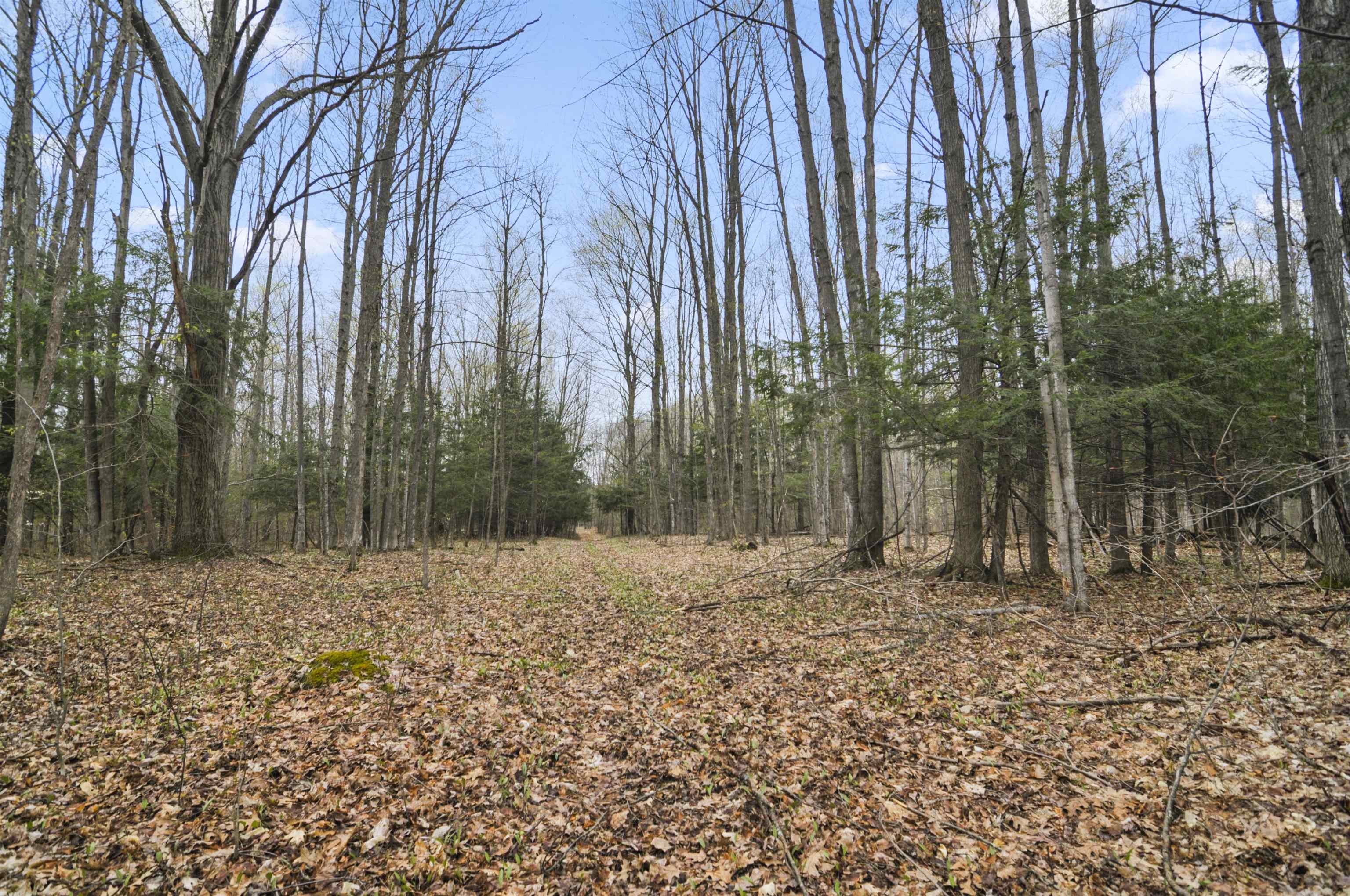 2561 East Johnson Road Lake City, MI 49651 - Photo 49 of 63