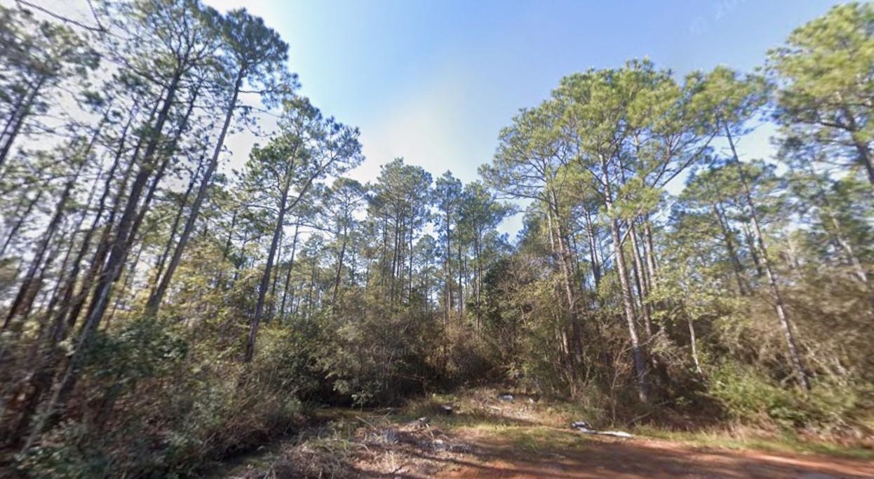 5599 Del Rey Street Milton, FL 32583 - Photo 12 of 25