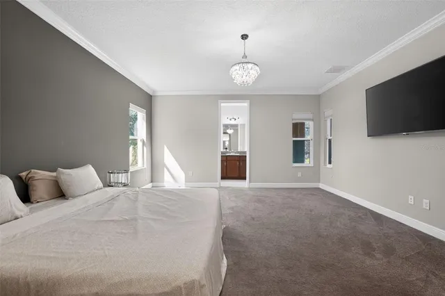 $950,000 | 13231 Wildflower Meadow Drive, Riverview, FL 33579