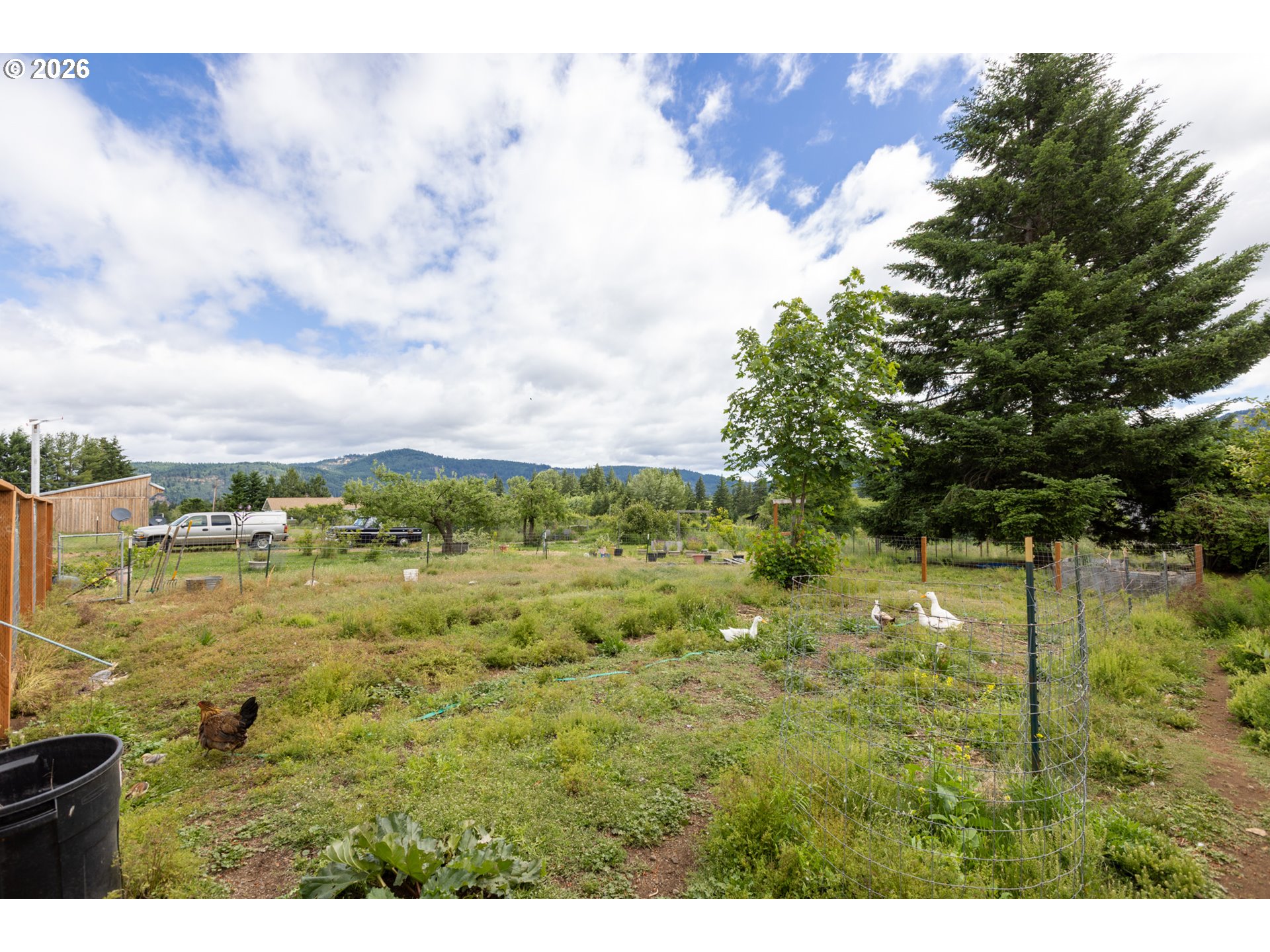6455 Trout Creek Ridge Road Mount Hood Parkdale, OR 97041 - Photo 36 of 38