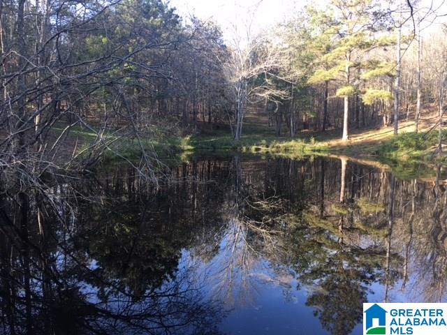 771 County Road 46 Montevallo, AL 35115 - Photo 20 of 21