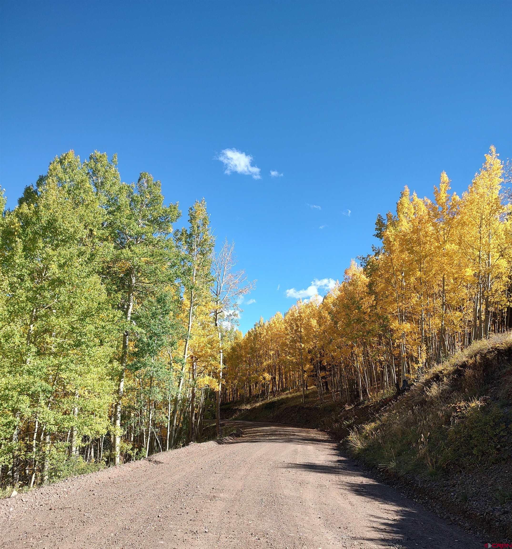 5374 Adams Road Fort Garland, CO 81133 - Photo 10 of 11