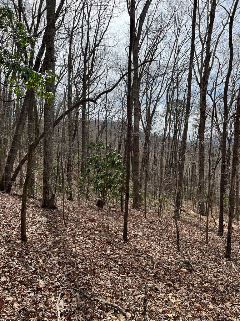 0 Laurel Drive Marble, NC 28905 - Photo 41 of 42