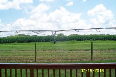 216 Foxrun Springfield, TN 37172 - Photo 18 of 21 a view of a green field with a big yard
