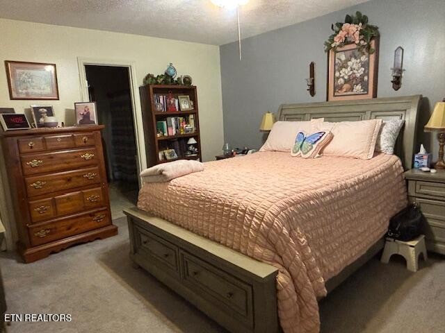 331 Briley Road Spring City, TN 37381 - Photo 22 of 32