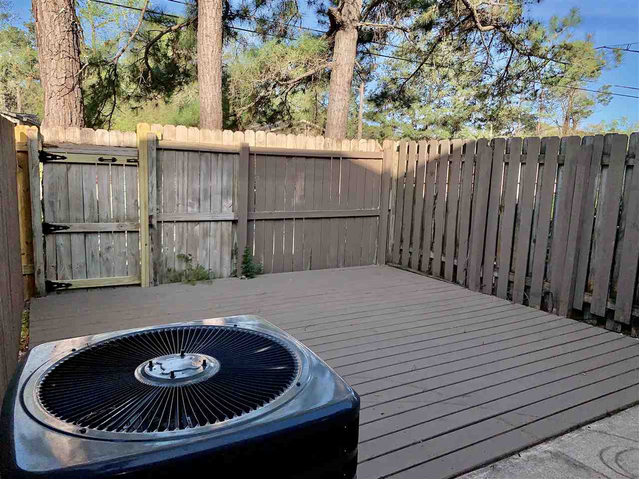 1155 Ocala Road Tallahassee, FL 32304 - Photo 4 of 29 Gallery Image 4