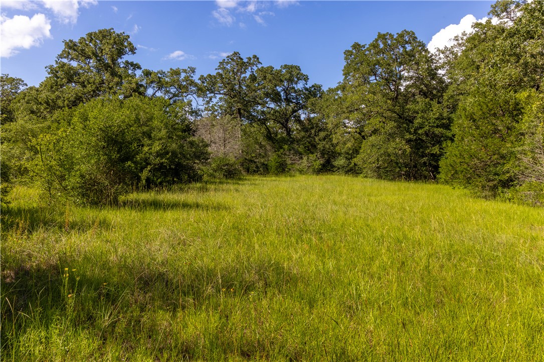 10102 Ferrill Creek Road Bryan, TX 77808 - Photo 14 of 29
