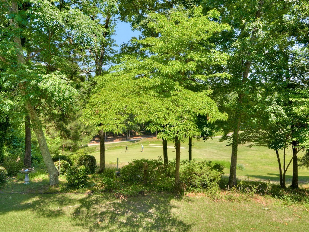 612 Burden Lake Road Aiken, SC 29803 - Photo 43 of 45 Gallery Image 43