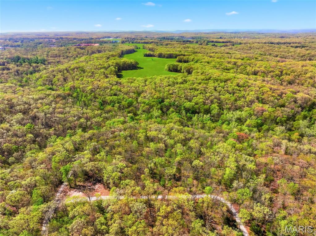 104-ac Tree Farm Road New Florence, MO 63363 - Photo 13 of 20