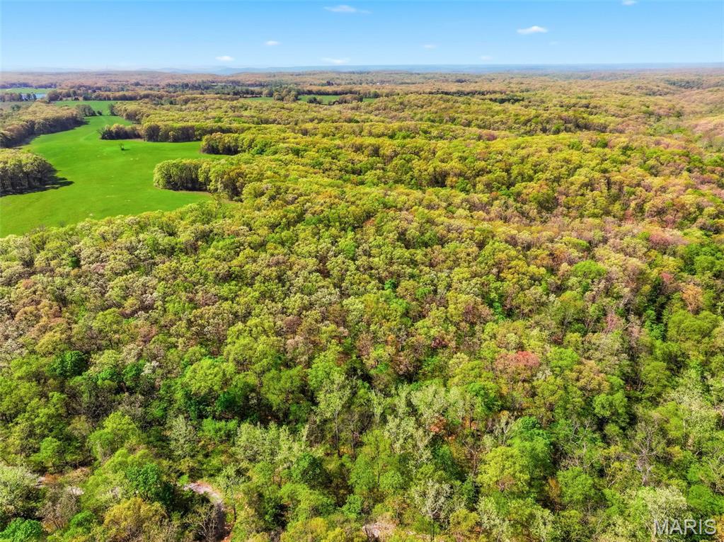 104-ac Tree Farm Road New Florence, MO 63363 - Photo 14 of 20