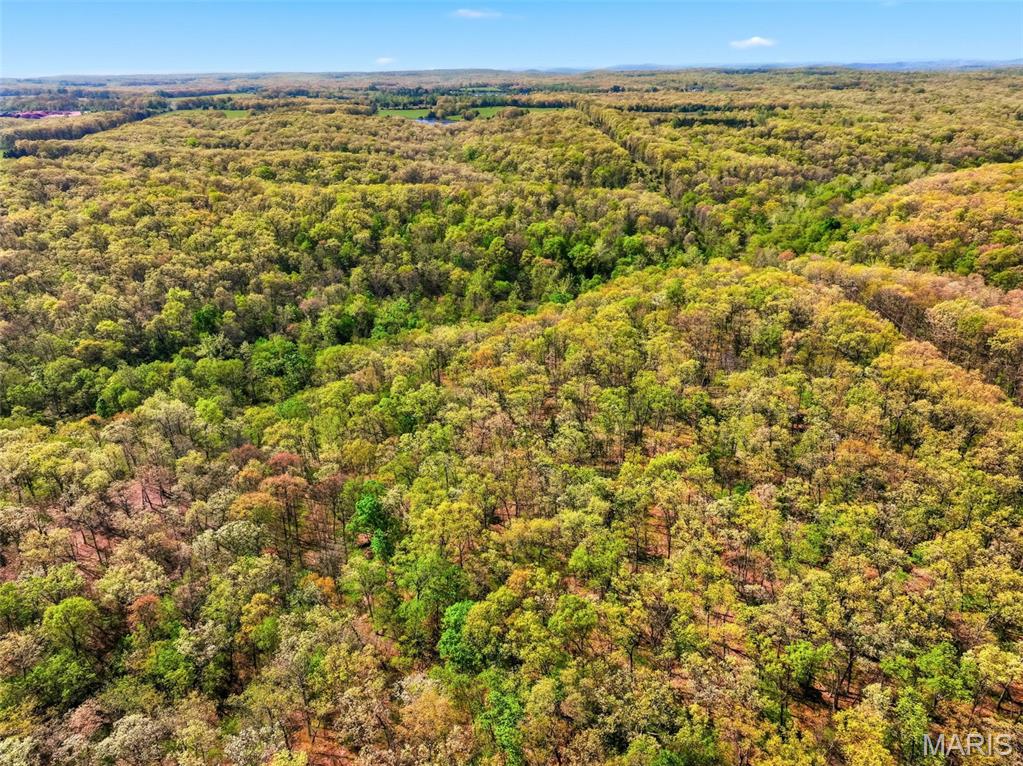 104-ac Tree Farm Road New Florence, MO 63363 - Photo 17 of 20