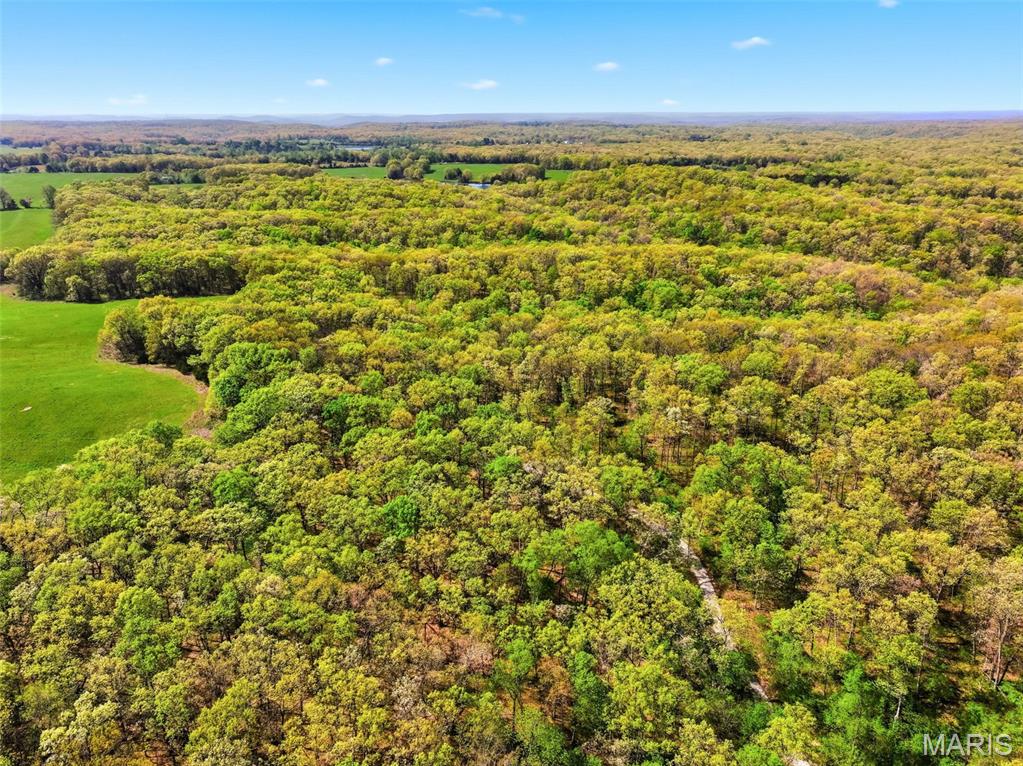 104-ac Tree Farm Road New Florence, MO 63363 - Photo 19 of 20