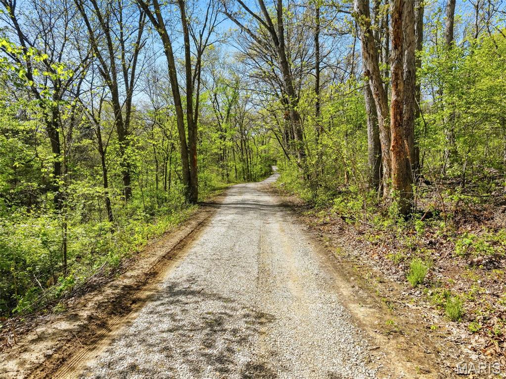 104-ac Tree Farm Road New Florence, MO 63363 - Photo 4 of 20