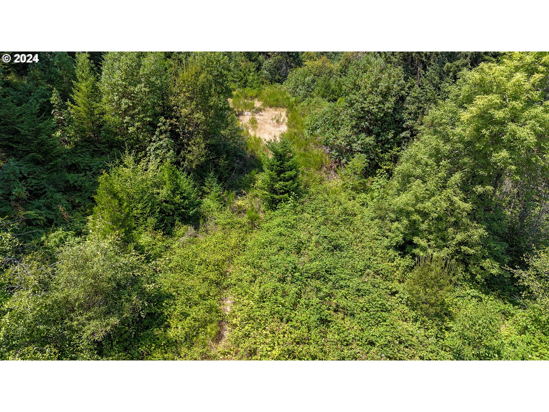 1487 Lone Rock Road Glide, OR 97443 - Photo 11 of 30 Gallery Image 11