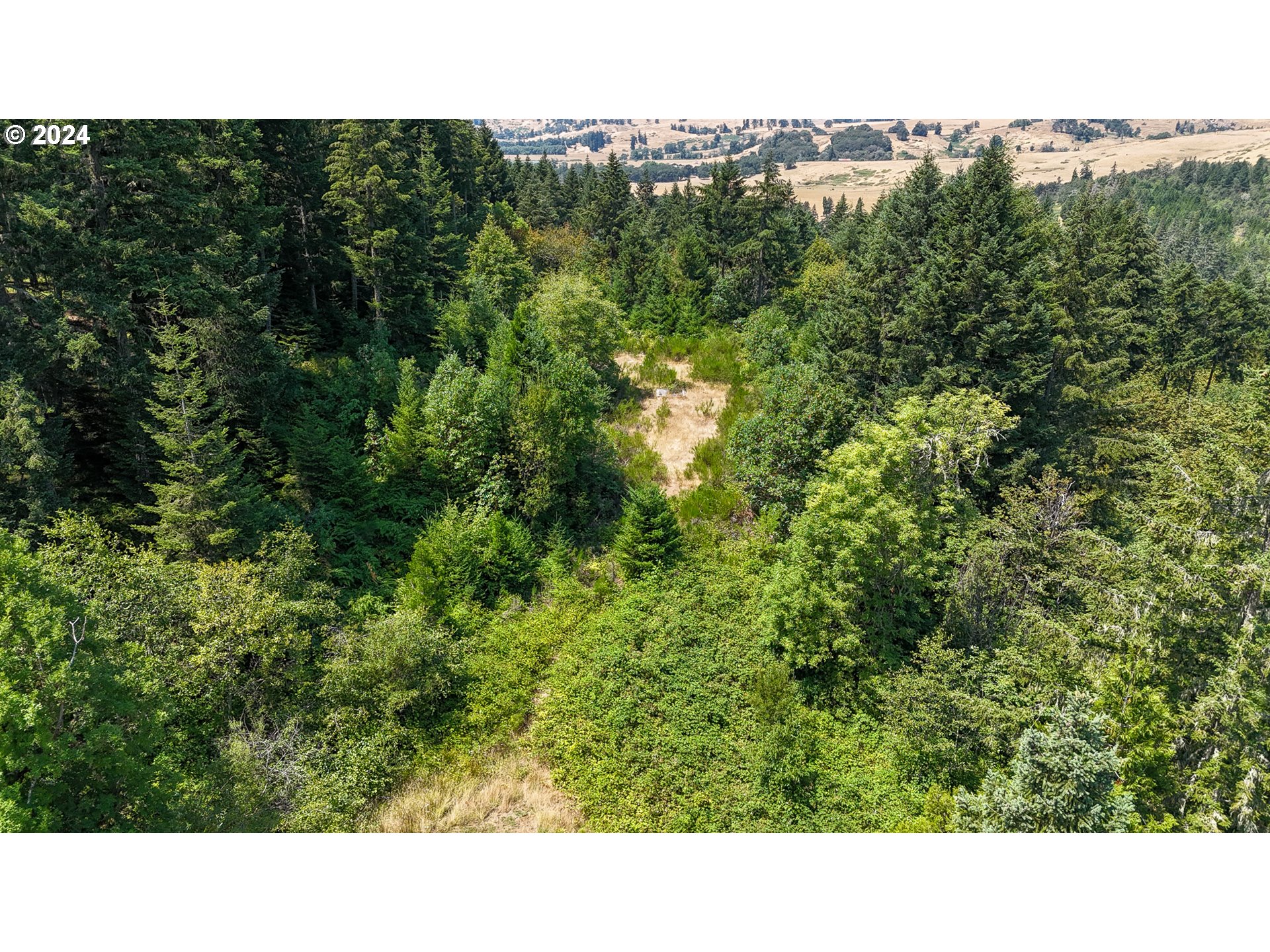 1487 Lone Rock Road Glide, OR 97443 - Photo 14 of 30 Gallery Image 14