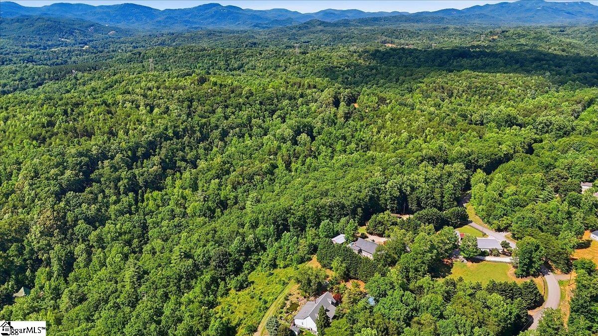 883 Goodwin Bridge Road Travelers Rest, SC 29690 - Photo 6 of 12
