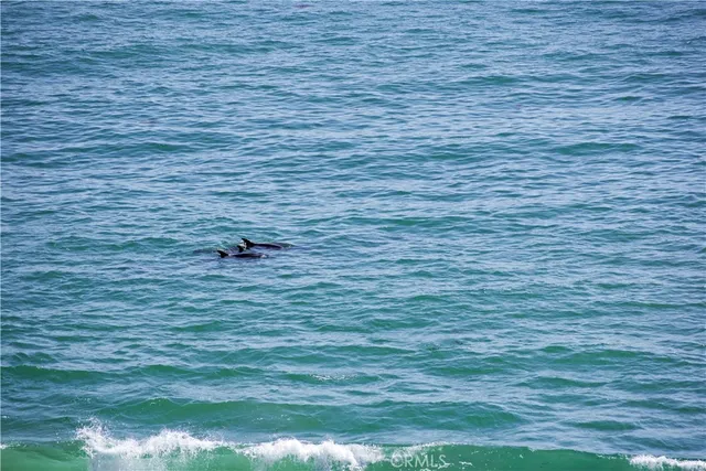 $19,500 | 328 Boca Del Canon, San Clemente, CA 92672