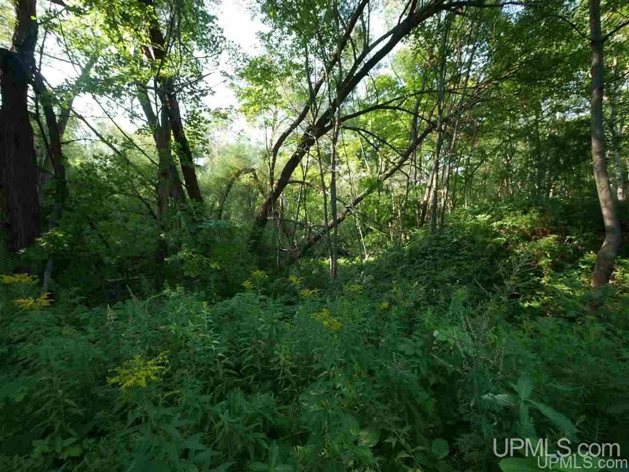Tbd Pewabic Street Calumet, MI 49930 - Photo 23 of 45