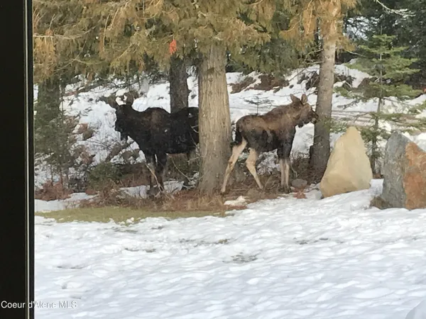 $1,295,000 | 422 Lightning Peak Road, Sandpoint, ID 83864