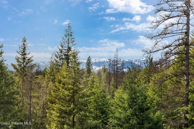 $1,295,000 | 422 Lightning Peak Road, Sandpoint, ID 83864