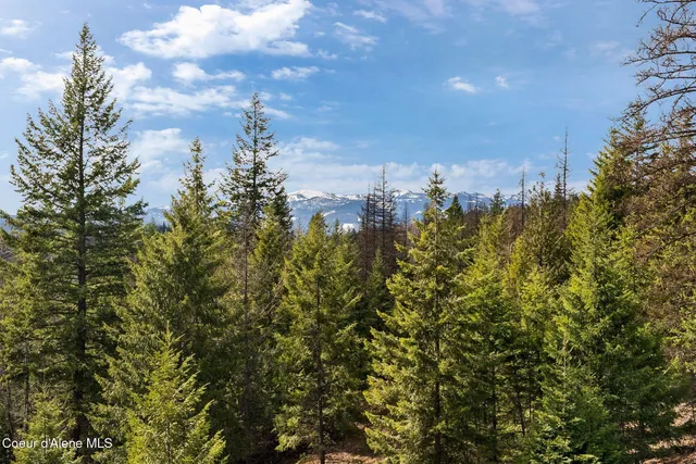 $1,295,000 | 422 Lightning Peak Road, Sandpoint, ID 83864