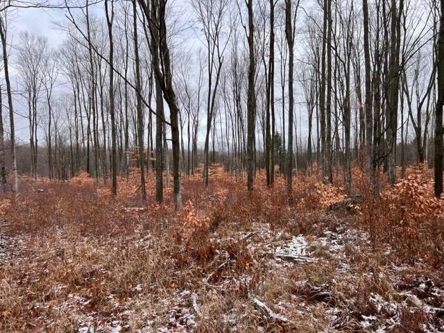West Dotski Road Levering, MI 49755 - Photo 41 of 61 Gallery Image 41