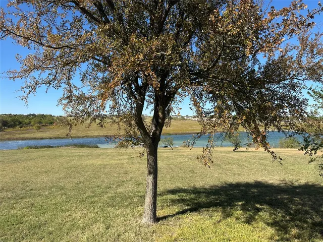 a view of yard with large trees