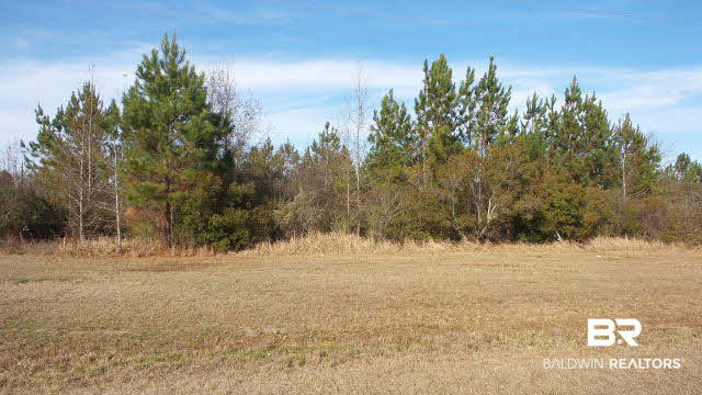 22 Ard Field Road Jay, FL 32565 - Photo 20 of 30