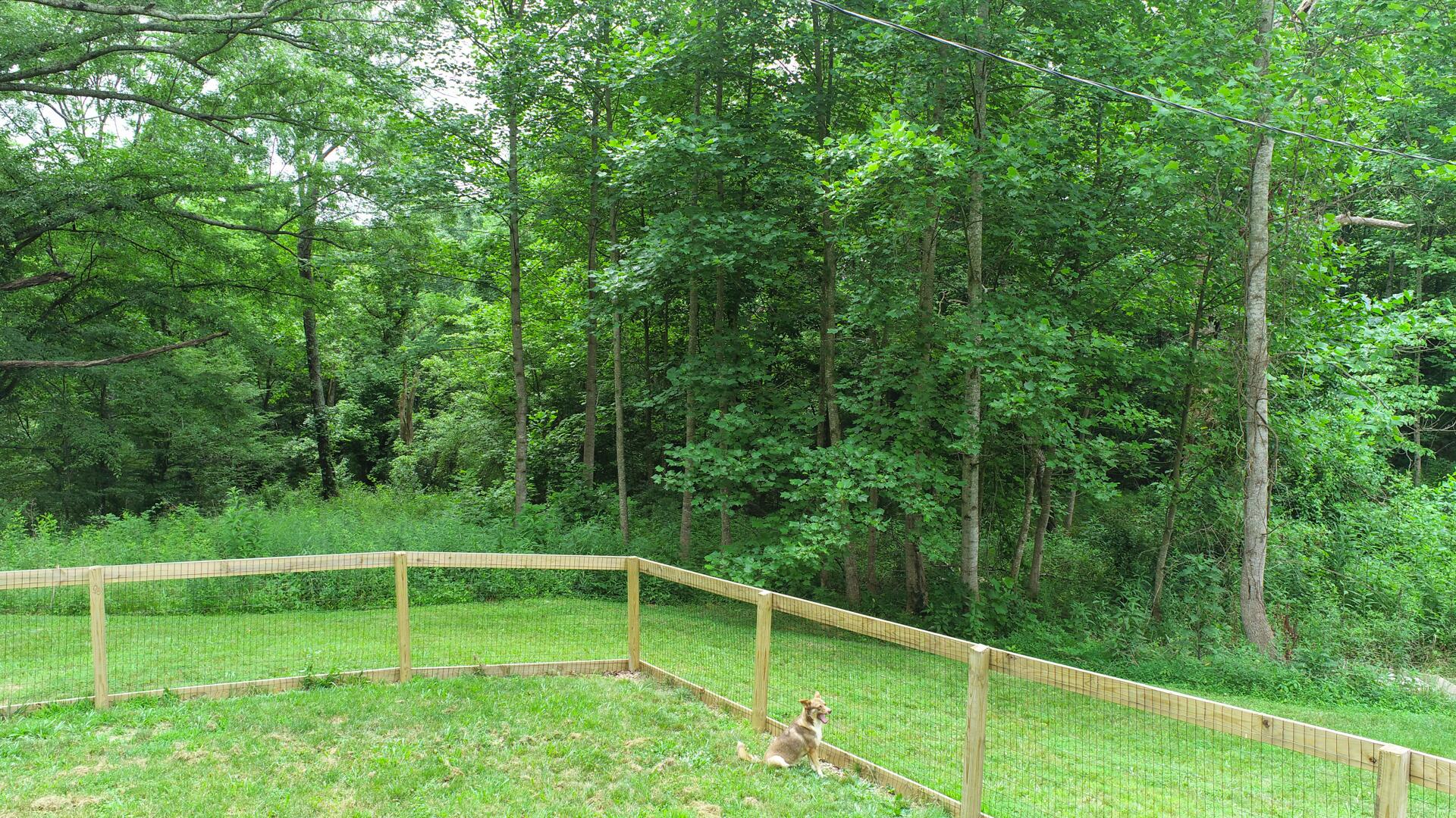 969 Watson Road Hillsboro, KY 41049 - Photo 30 of 30 DJI_0063