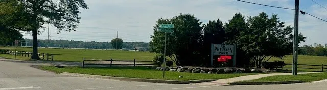 a view of a back yard