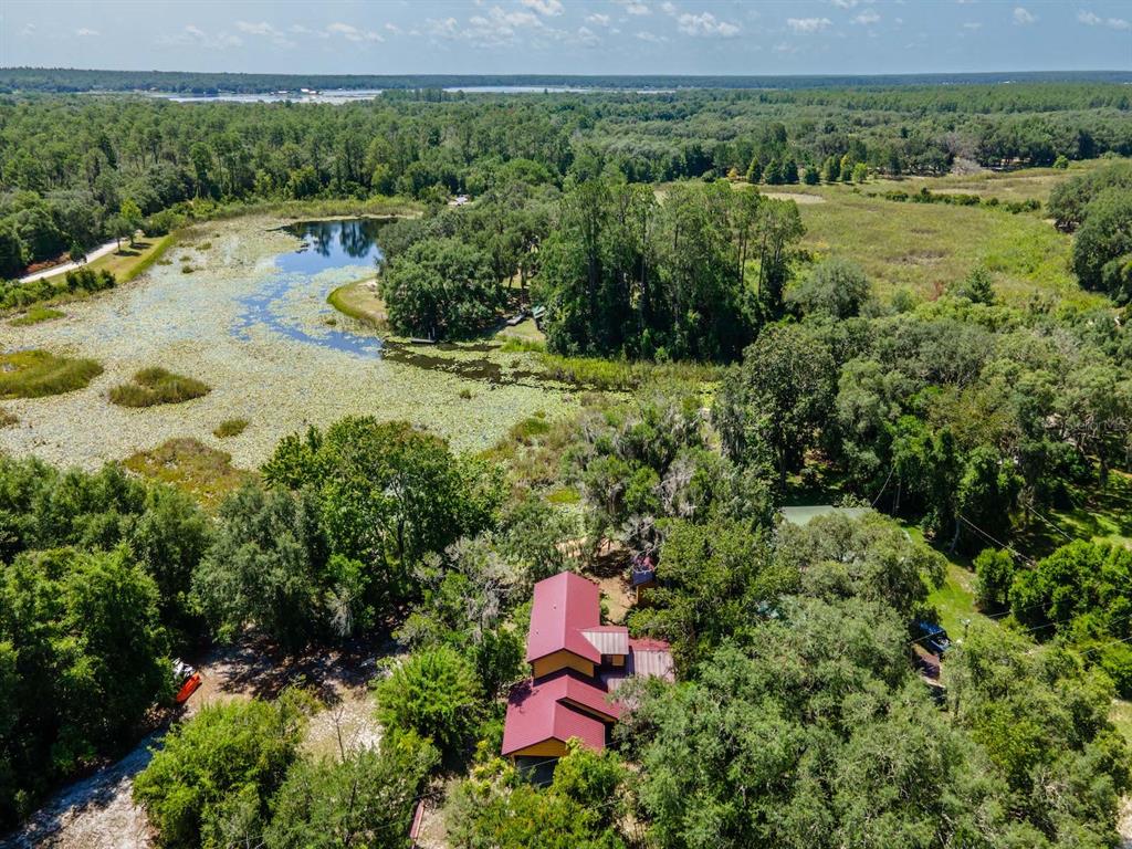 23610 Northeast 154th Place Road Fort McCoy, FL 32134 - Photo 2 of 44 a view of a lake with a yard