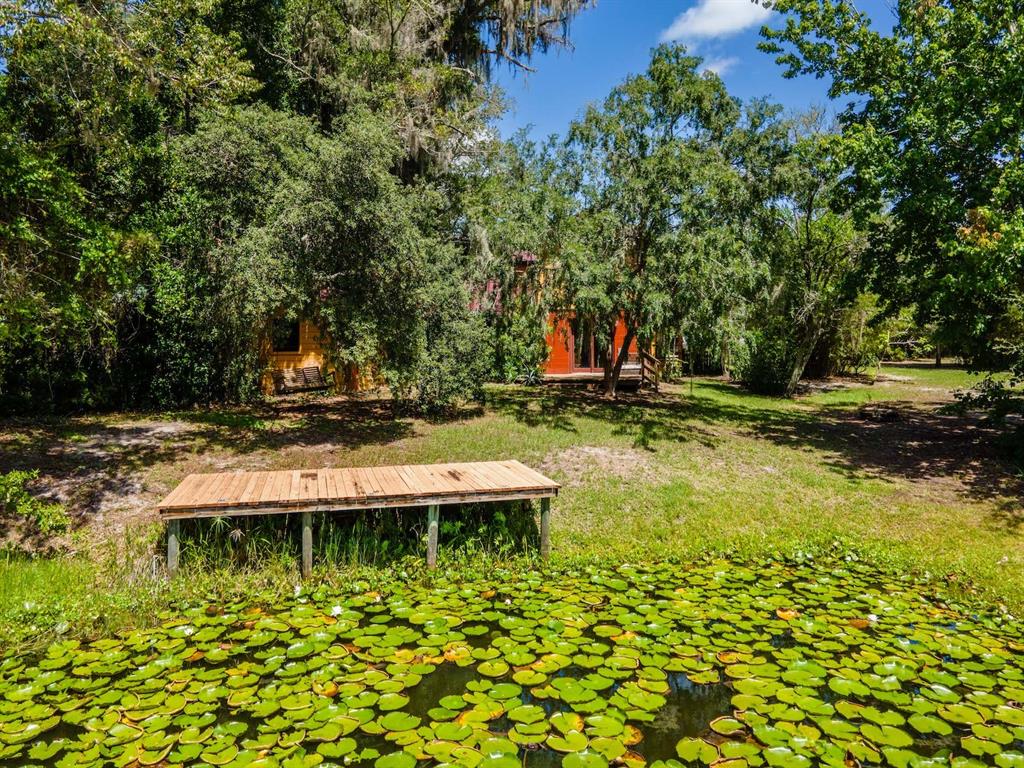 23610 Northeast 154th Place Road Fort McCoy, FL 32134 - Photo 31 of 44 a view of swimming pool with lawn chairs and plants