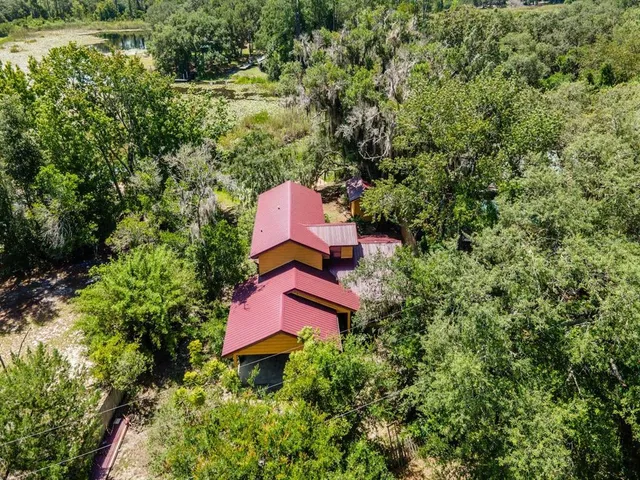 a view of a garden with plants