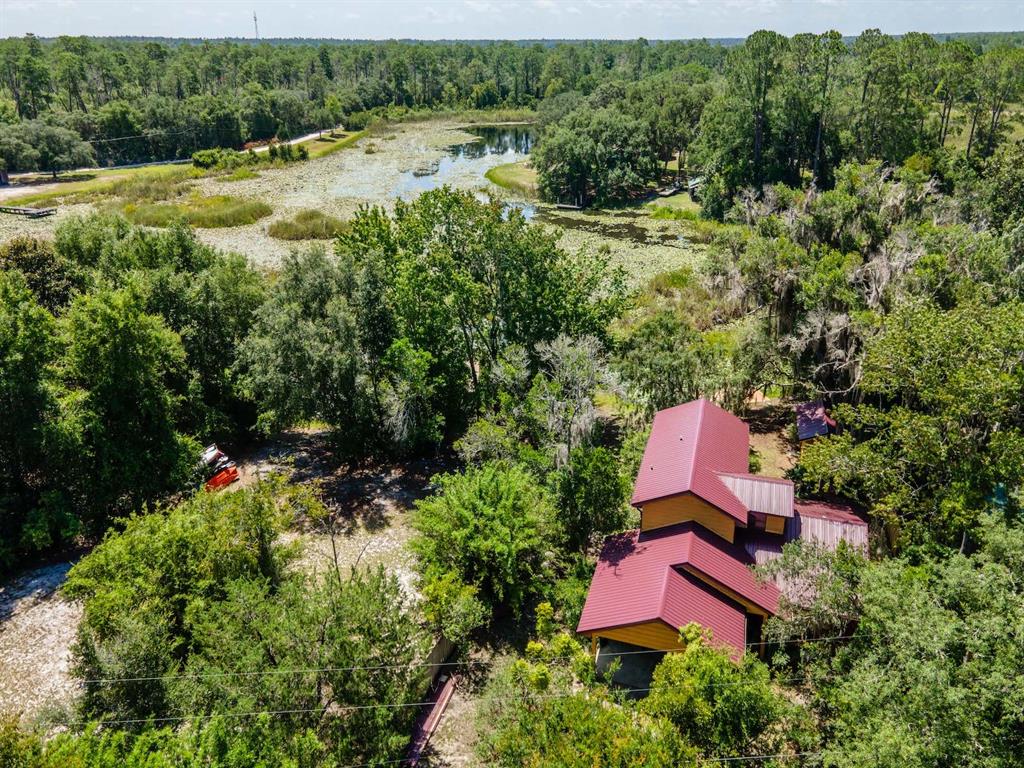 23610 Northeast 154th Place Road Fort McCoy, FL 32134 - Photo 35 of 44 an aerial view of residential house with outdoor space and trees all around