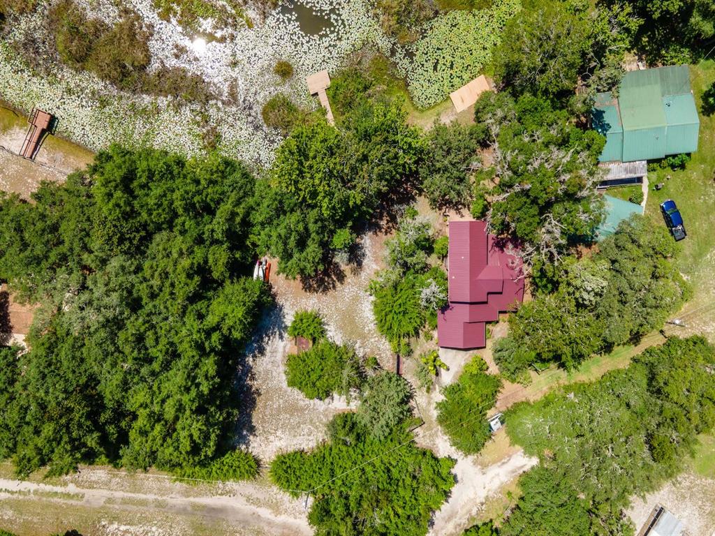 23610 Northeast 154th Place Road Fort McCoy, FL 32134 - Photo 36 of 44 a view of a garden with plants