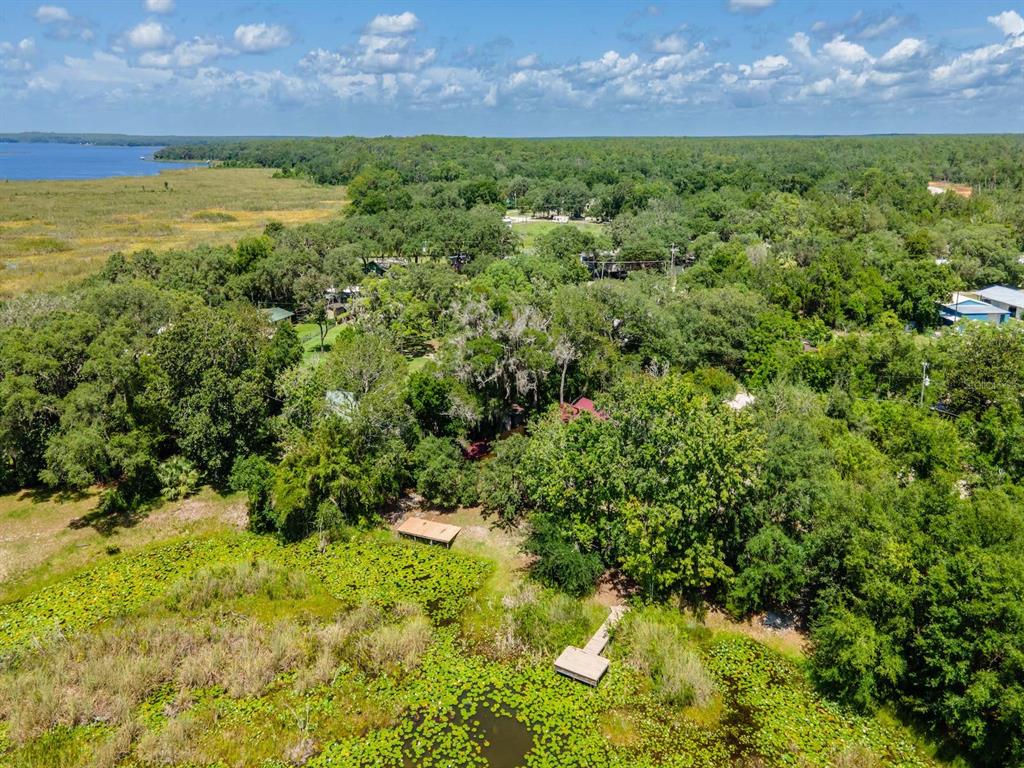 23610 Northeast 154th Place Road Fort McCoy, FL 32134 - Photo 38 of 44 a view of a yard with an outdoor space