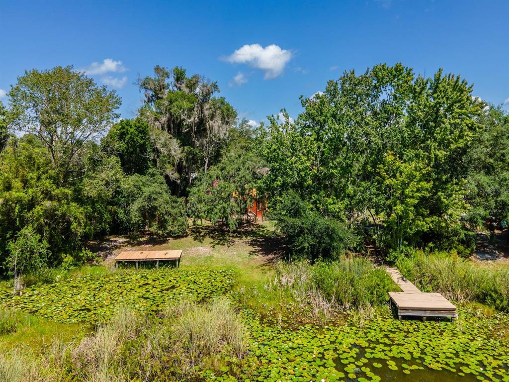 23610 Northeast 154th Place Road Fort McCoy, FL 32134 - Photo 39 of 44 a backyard of a house with lots of green space
