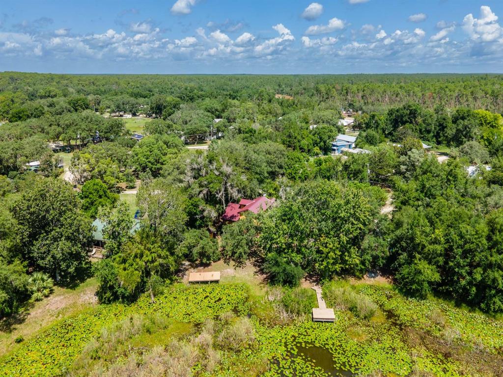 23610 Northeast 154th Place Road Fort McCoy, FL 32134 - Photo 40 of 44 a view of a houses with a yard