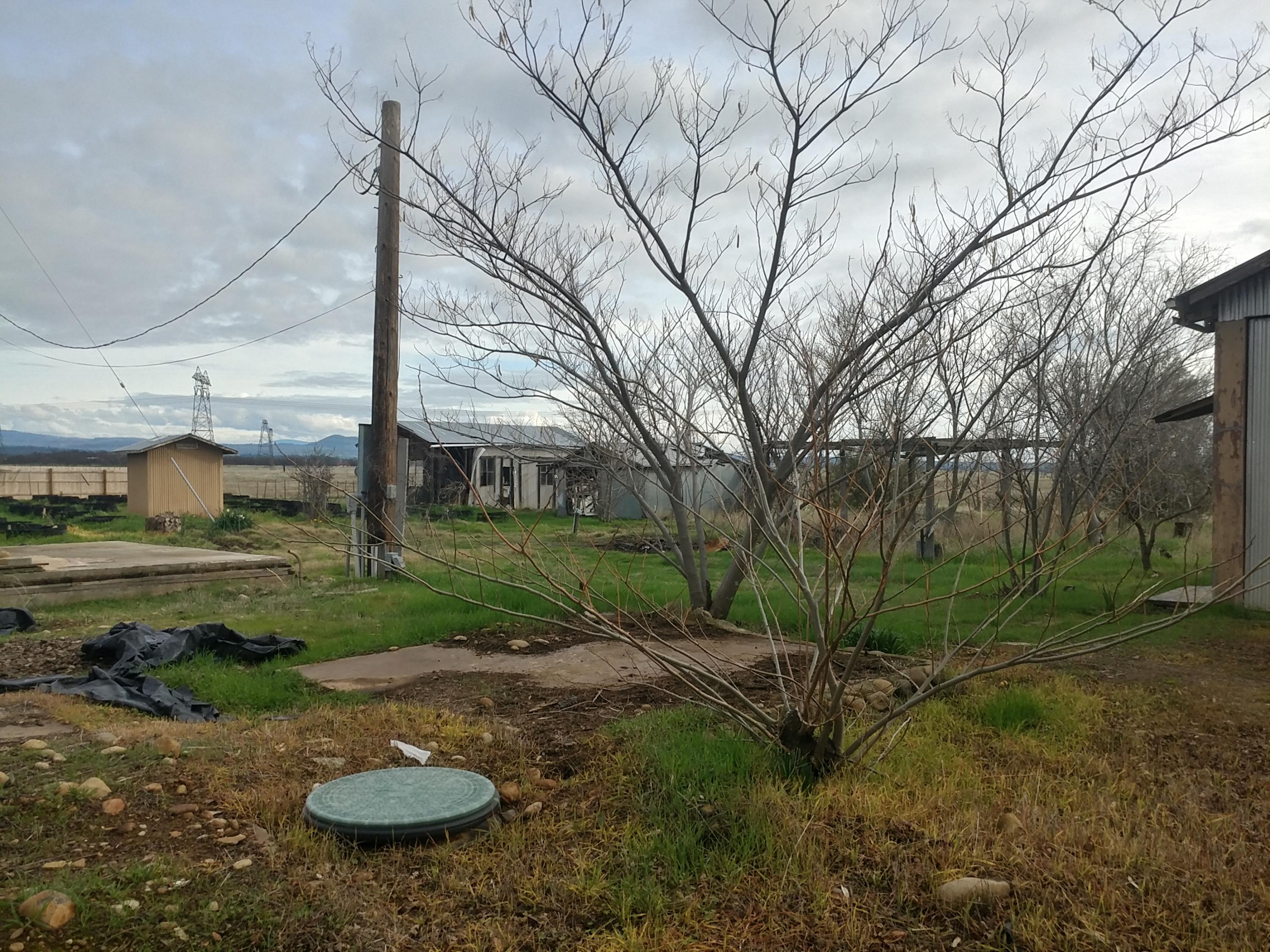23991 Bascom Road Anderson, CA 96007 - Photo 18 of 28 0116181429_HDR