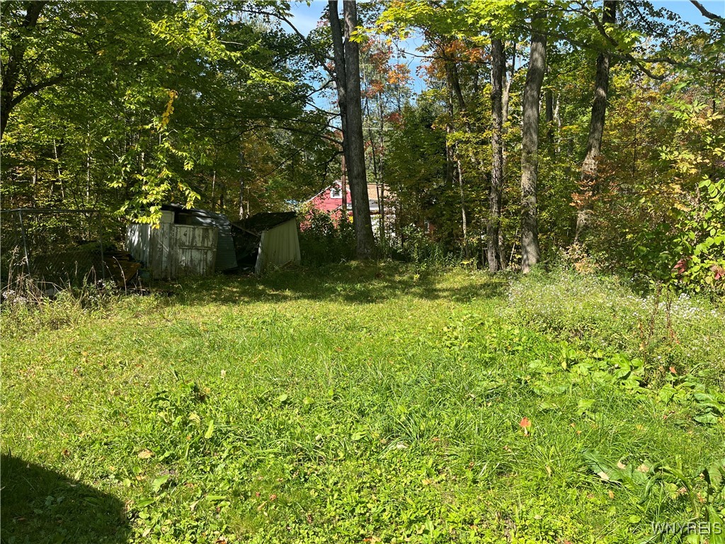 153 Lakeview Drive Java, NY 14009 - Photo 2 of 3 Lot across from the cottage with shed