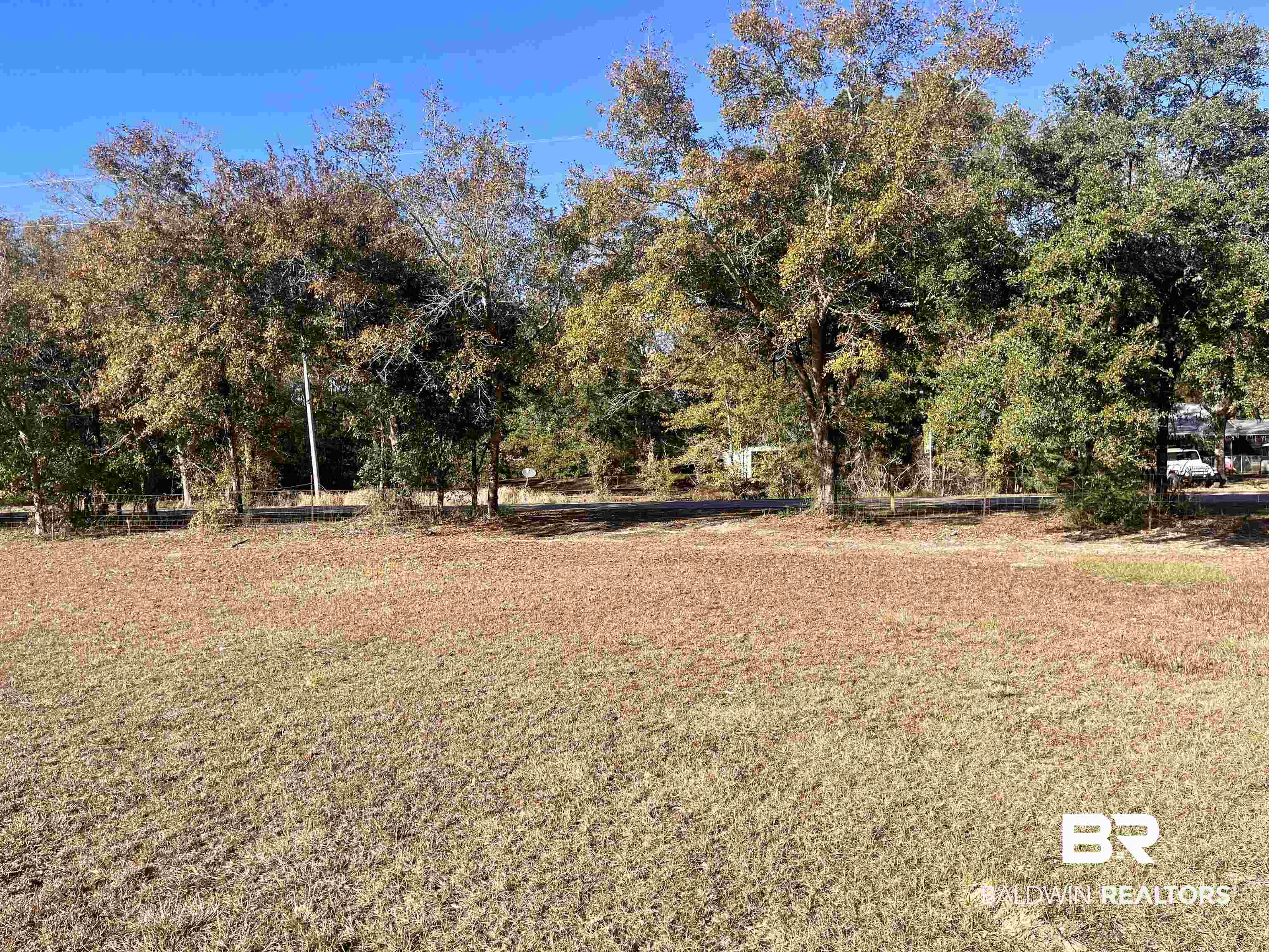 23148 Swift Church Road Foley, AL 36535 - Photo 3 of 11 View of yard