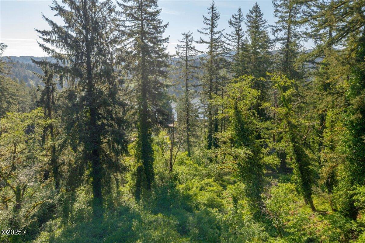 1600 Criteser Loop Toledo, OR 97391 - Photo 7 of 12 07-DJI_0693