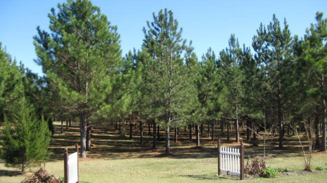 0 Eagle Ridge Road Summit, MS 39666 - Photo 1 of 1 Main View