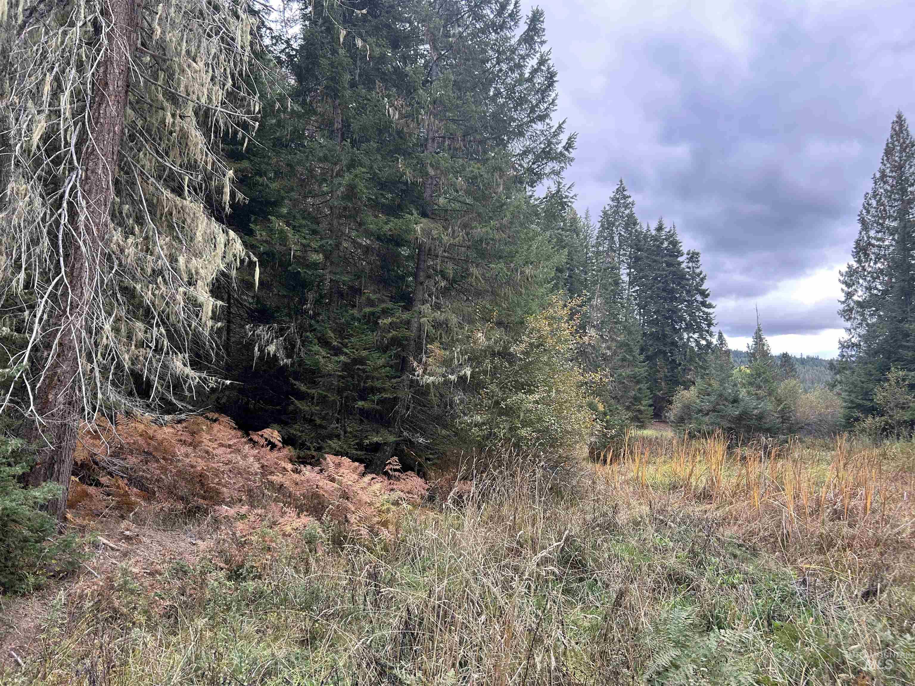 Tbd Lot 1 Tbd Road Kamiah, ID 83536 - Photo 6 of 16