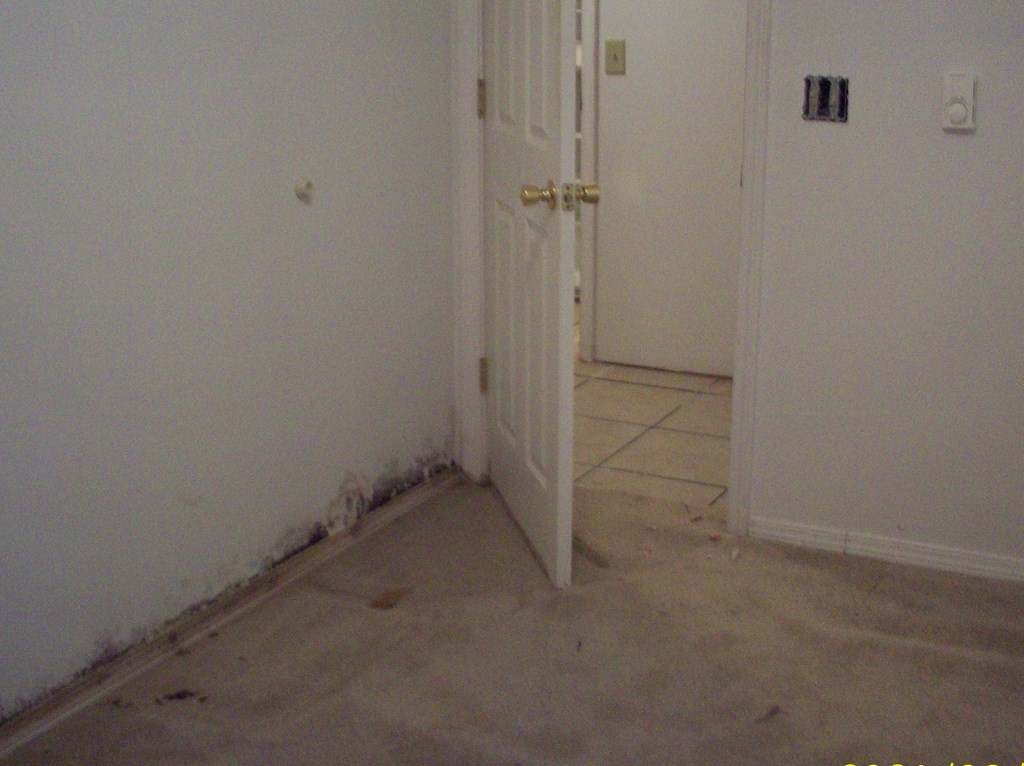 3905 Ardis Pond Road Dalzell, SC 29040 - Photo 19 of 34 Gallery Image 19