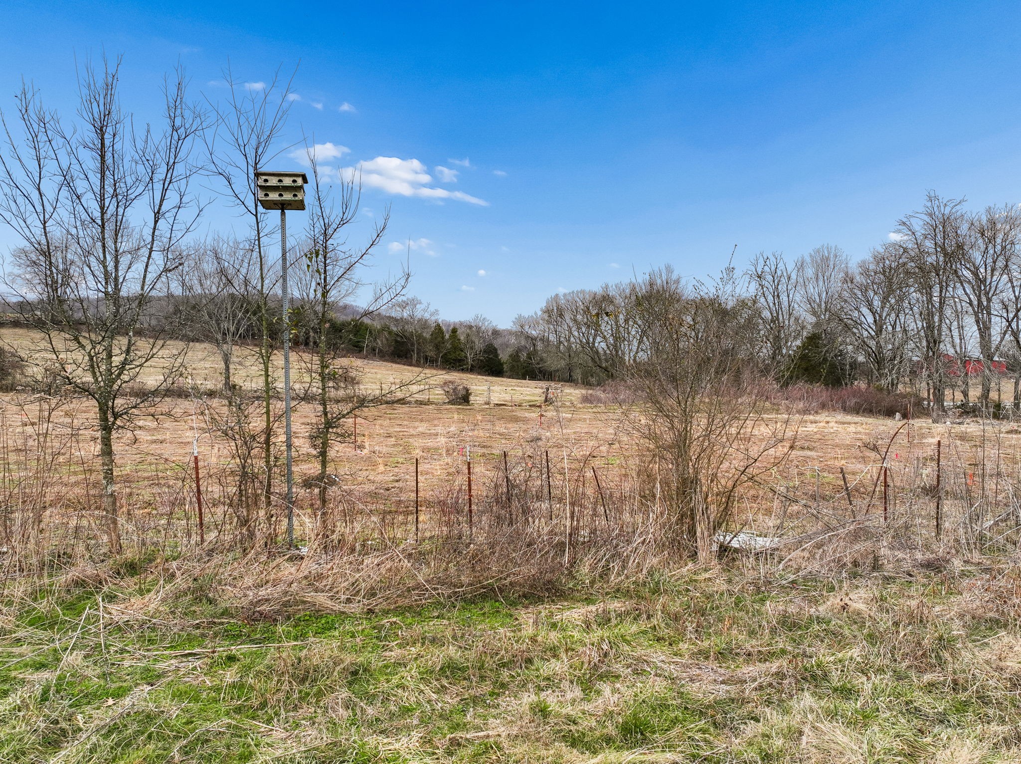 7291 Greenvale Road Watertown, TN 37184 - Photo 21 of 21