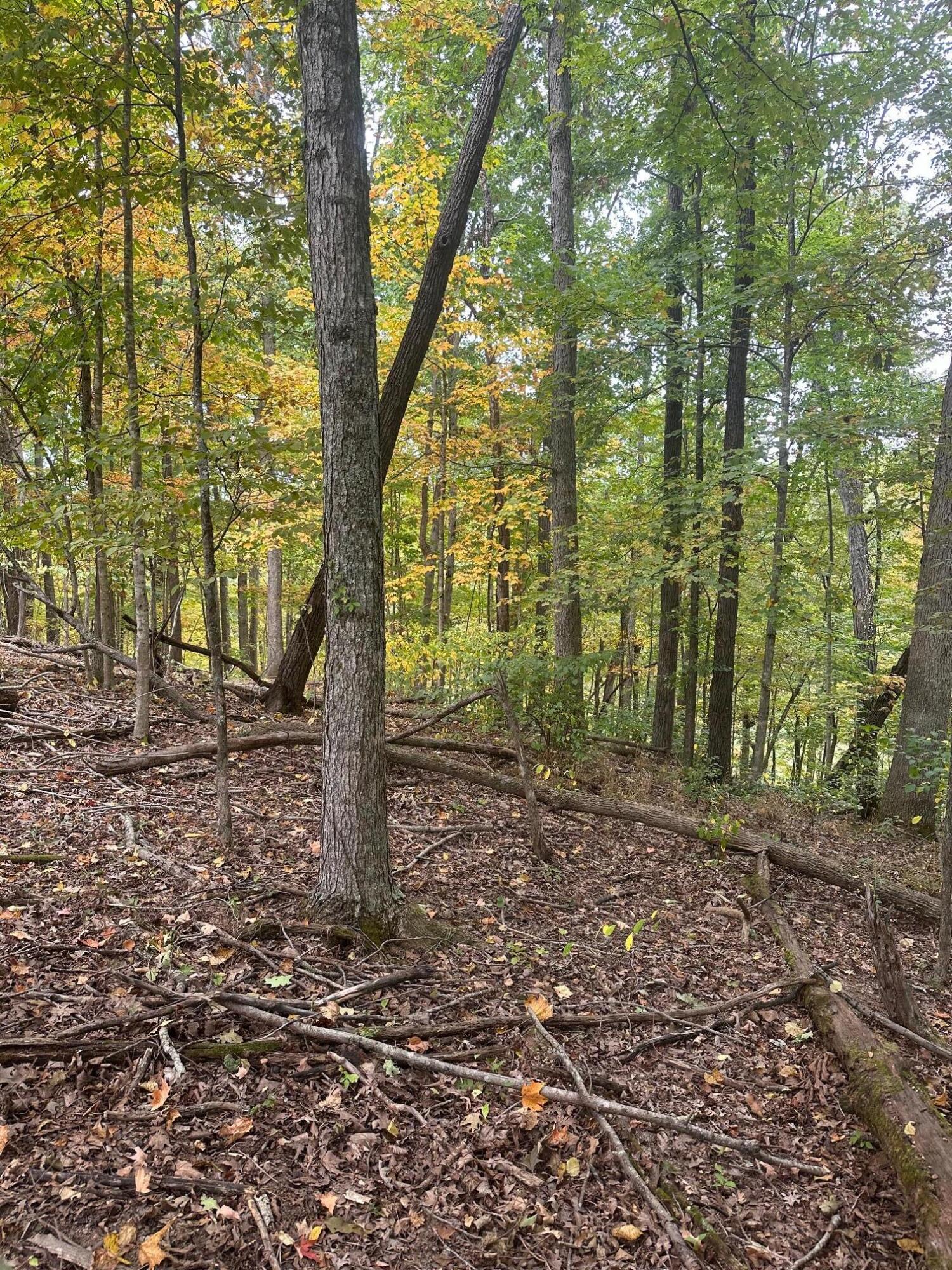 Horseshoe Bend Road Ronceverte, WV 24970 - Photo 2 of 10 Gallery Image 2