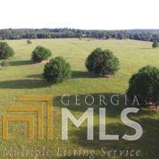 282 Dent Road McIntyre, GA 31054 - Photo 1 of 1 Gallery Image 1